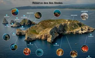 Reserve des iles Medes